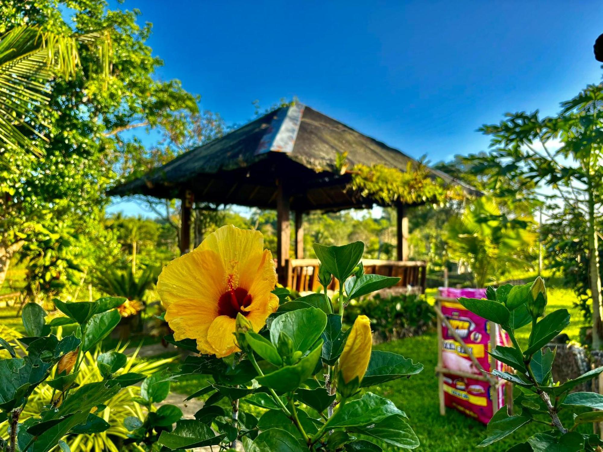 Hotel Camelo Farm Bilar Exterior foto